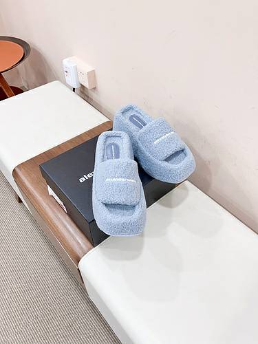 Picture of Alexander Wang Shoes Women _SKUfw145647592fw